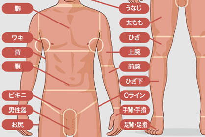 施術箇所