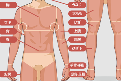 施術箇所