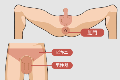 施術箇所