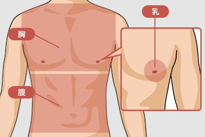 施術箇所