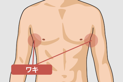 施術箇所