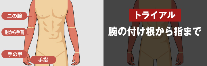 トライアル 腕の付け根から指まで <?php echo $trial_arms; ?>円