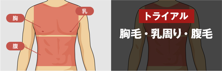 トライアル 胸毛・乳周り・腹毛 <?php echo $trial_body; ?>円