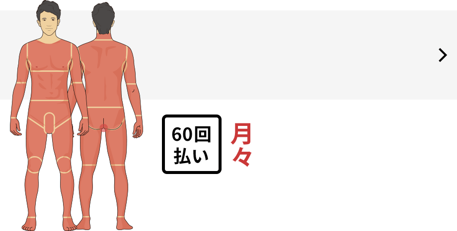 首から下のすべてが範囲
