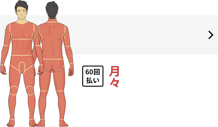 首から下のすべてが範囲