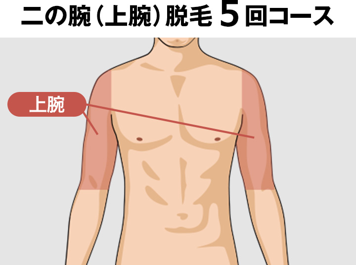 二の腕（上腕）の脱毛料金