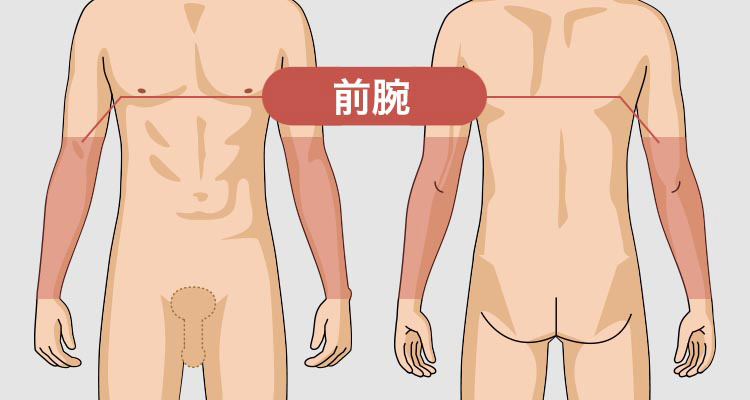 前腕