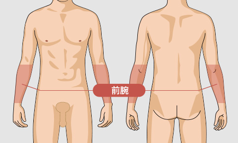 前腕の脱毛料金
