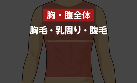 ゴリラクリニックの胴全体脱毛 1回トライアル<?php echo $trial_body; ?>円