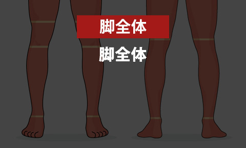 ゴリラクリニックの脚全体脱毛 1回トライアル<?php echo $price_legs_once; ?>円
