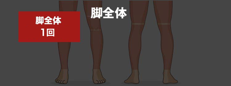 ゴリラクリニックの脚全体脱毛 1回トライアル<?php echo $price_legs_once; ?>円