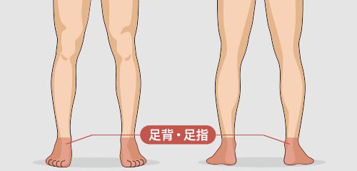 足背・足指