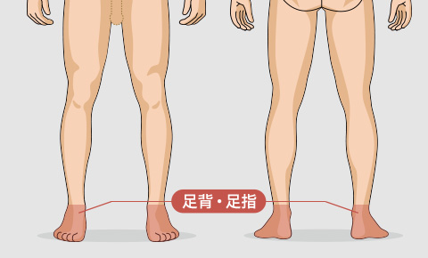 足背・足指の脱毛料金