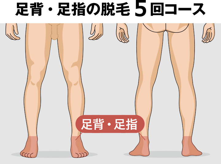 足背・足指の脱毛料金
