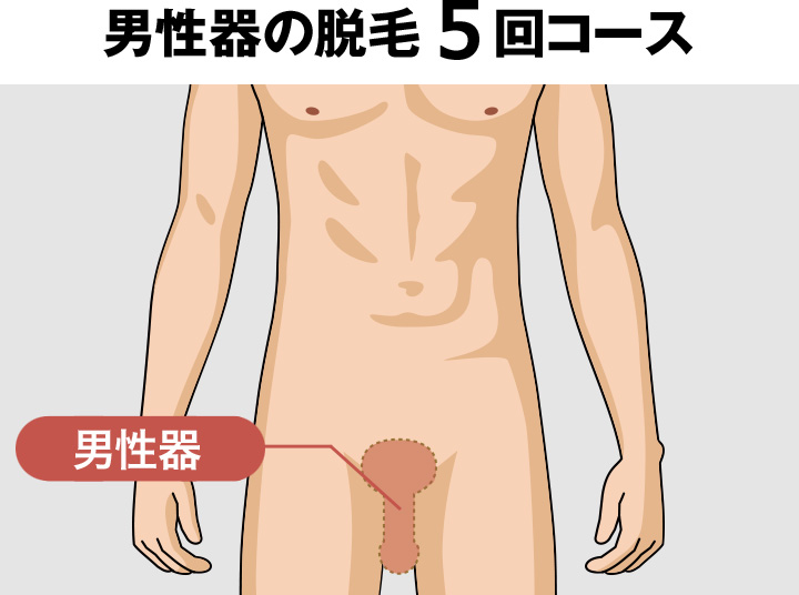 男性器の脱毛料金
