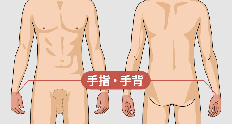 手背・手指