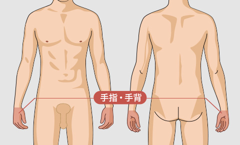 手背・手指の脱毛料金