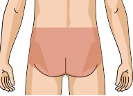 お尻（ケツ毛）