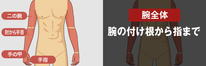 腕全体コースの医療レーザー脱毛 腕の付け根から指まで <?php echo $price_arms_total; ?>円