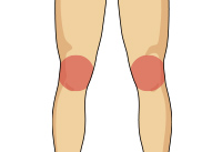 ひざ