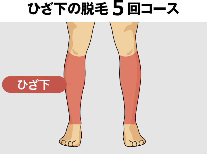 ひざ下（すね毛）の脱毛料金